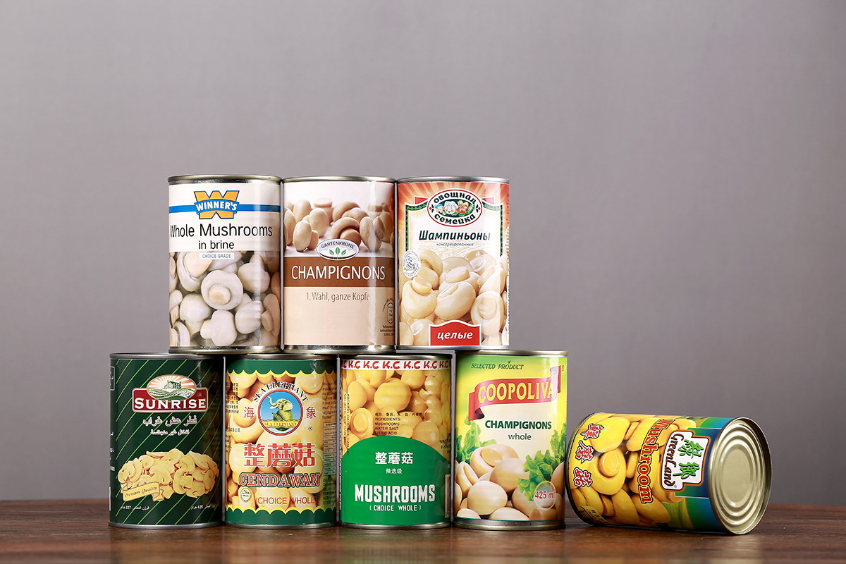 首页- 南宫NG28国际集团官方网站