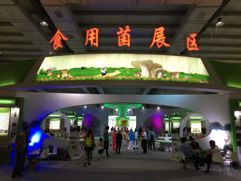 首页- 南宫NG28国际集团官方网站