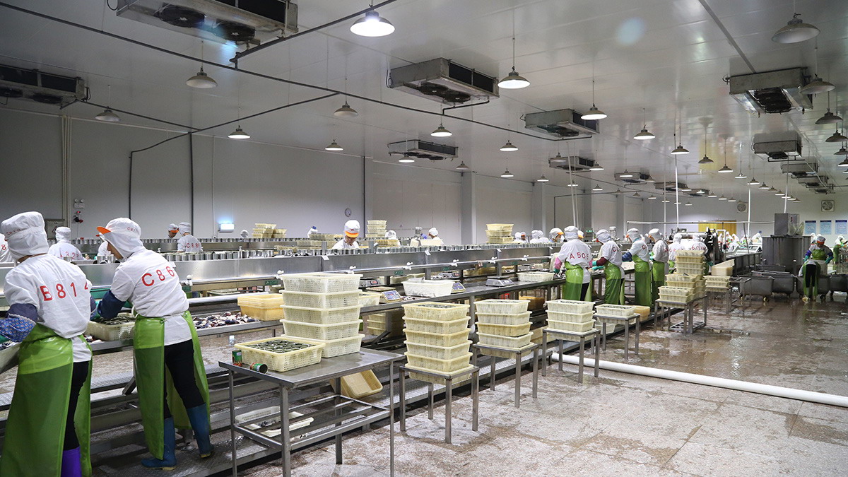 首页- 南宫NG28国际集团官方网站