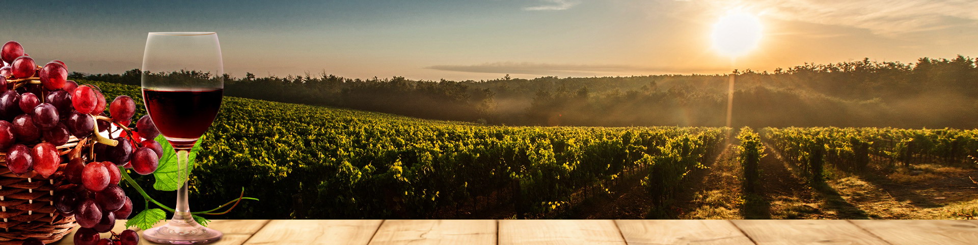 首页- 南宫NG28国际集团官方网站