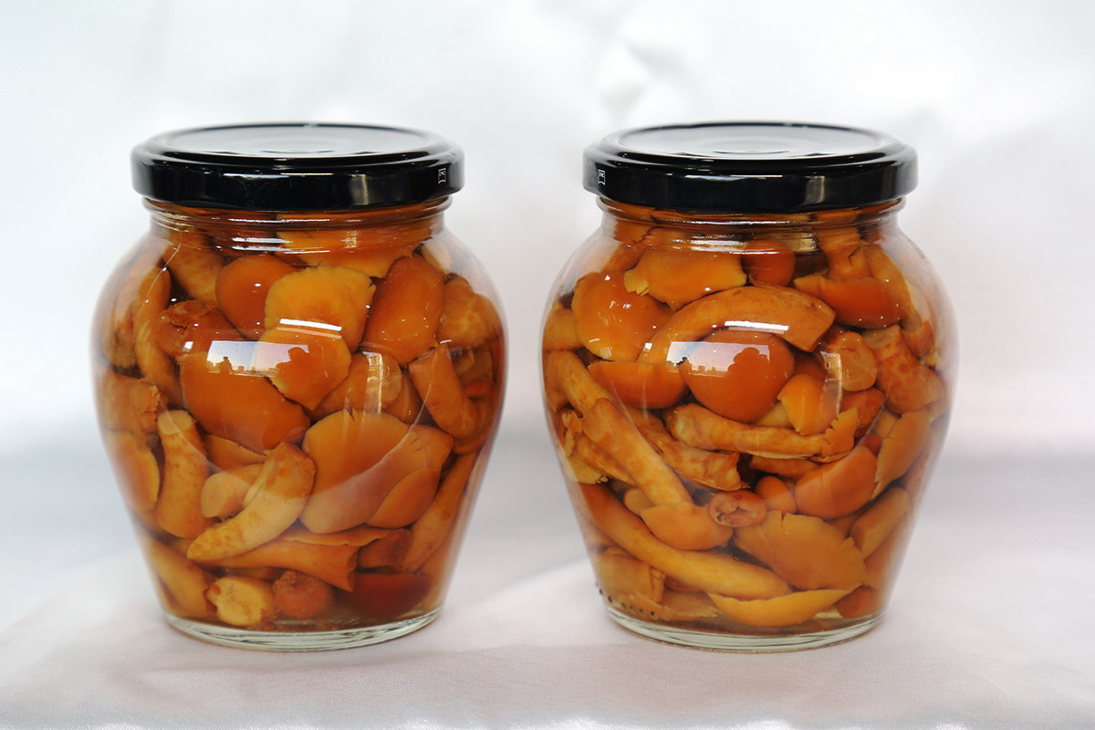 首页- 南宫NG28国际集团官方网站