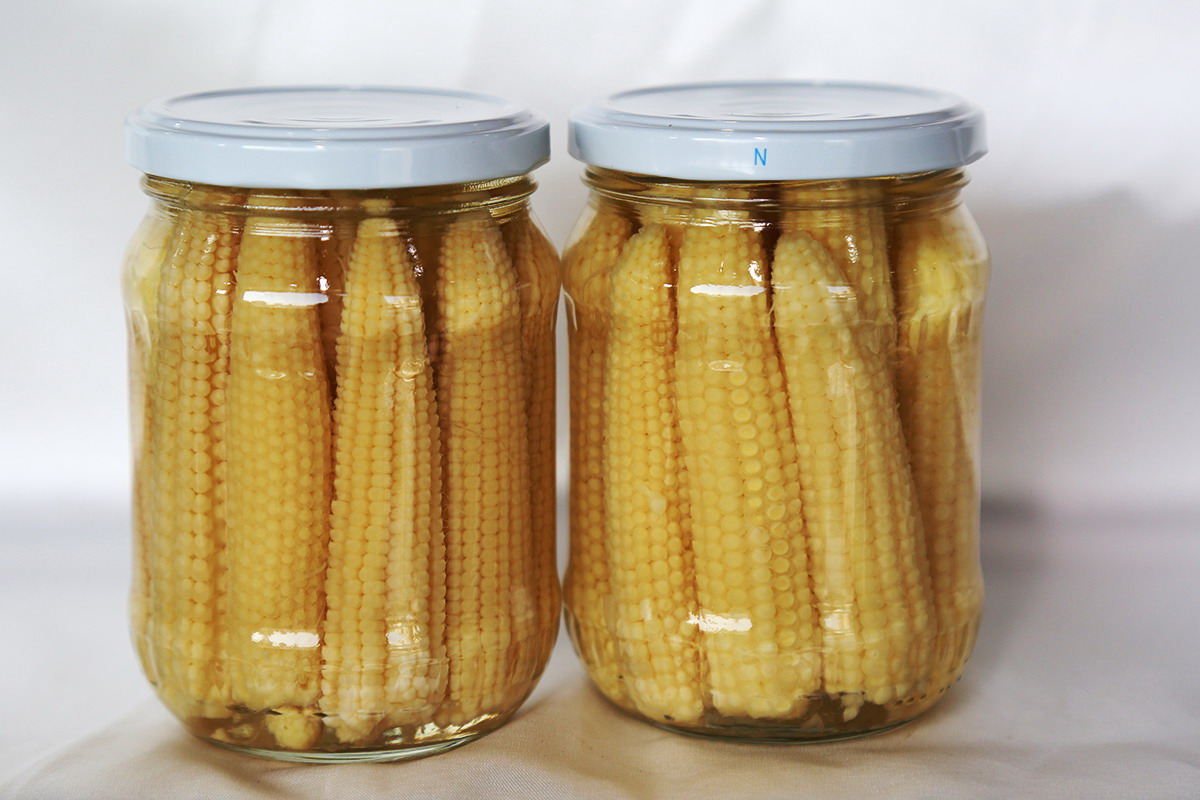 首页- 南宫NG28国际集团官方网站