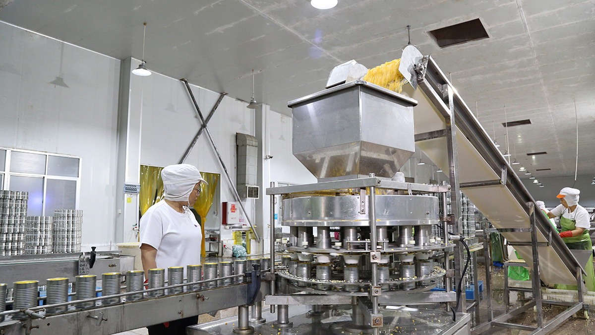 首页- 南宫NG28国际集团官方网站