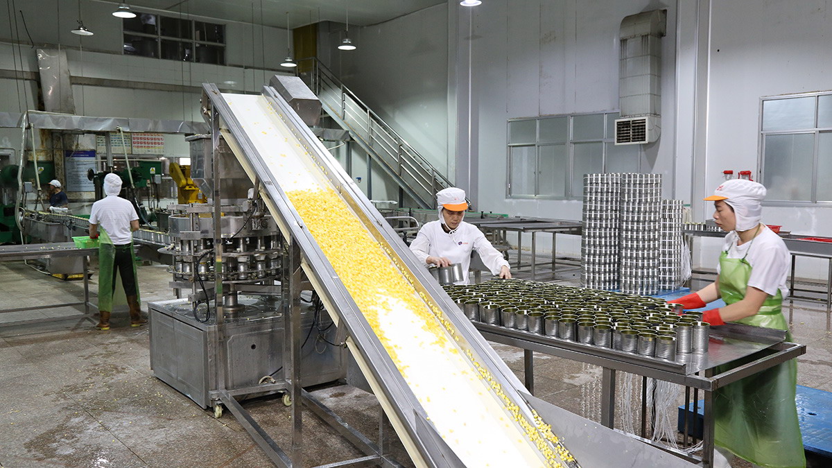 首页- 南宫NG28国际集团官方网站